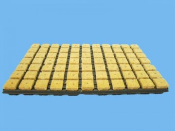 Steenwol opkweekblok 36x36mm tray 77st   260260061